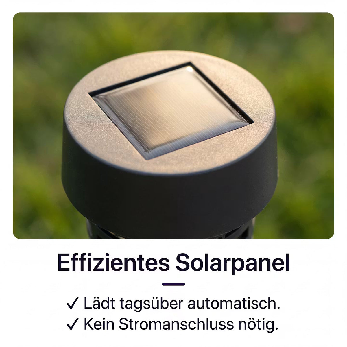 InsectGuard Solar – Solar-Mückenfalle für Garten & Terrasse – Produktansicht 3