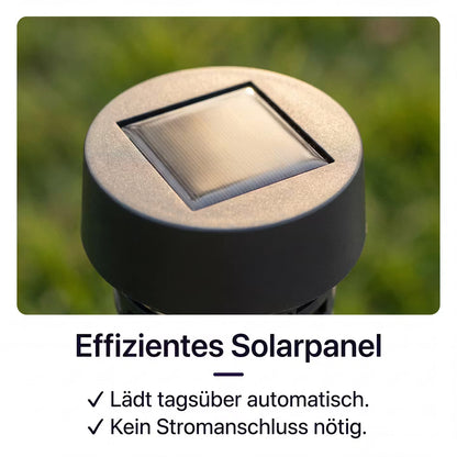 InsectGuard Solar – Solar-Mückenfalle für Garten & Terrasse – Produktansicht 3