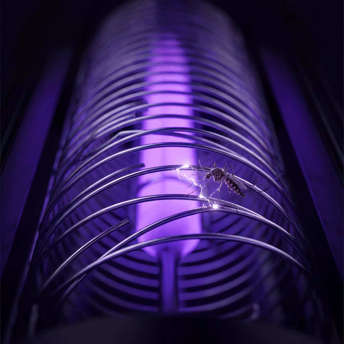 InsectGuard UV – Elektrische UV-Mückenfalle – Produktansicht 5