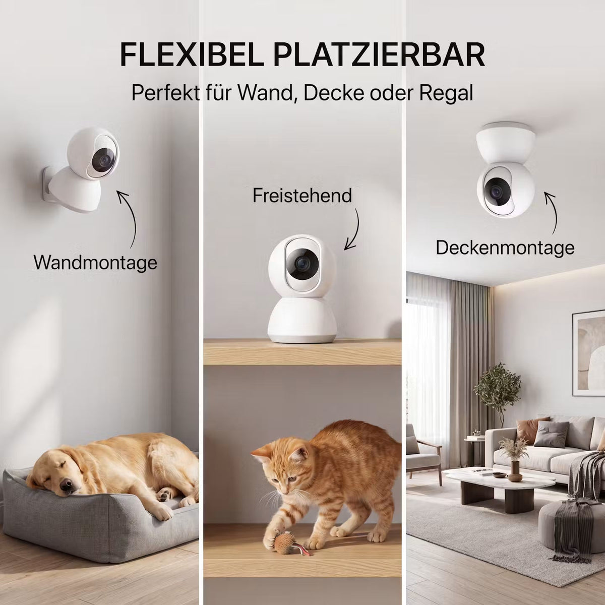 PawVision Pro – WLAN-Hundekamera mit Nachtsicht & App – Produktansicht 6