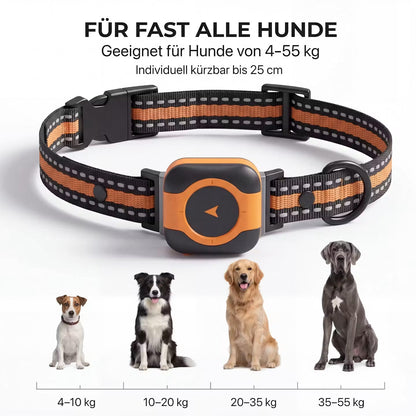 PawTrace Go – GPS-Tracker-Halsband für Hunde & Katzen – Produktansicht 10