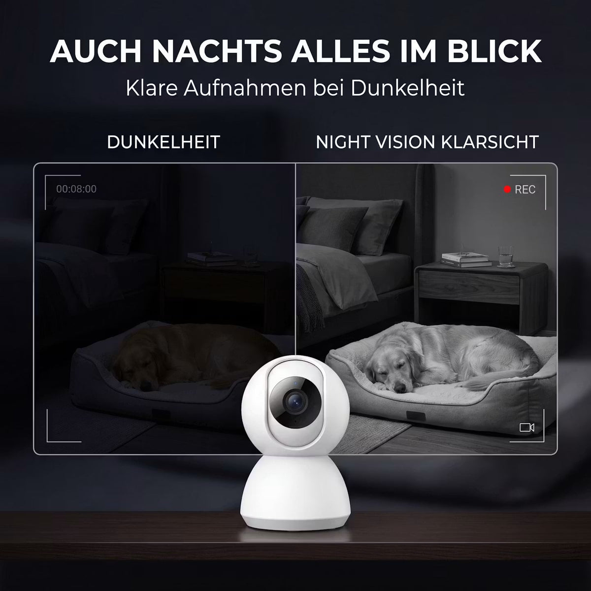 PawVision Pro – WLAN-Hundekamera mit Nachtsicht & App – Produktansicht 12