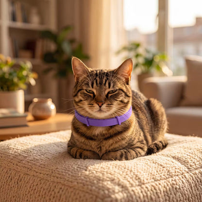 PawCalm – Pheromon-Beruhigungshalsband für Hunde & Katzen – Produktansicht 2
