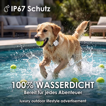PawTrace Go – GPS-Tracker-Halsband für Hunde & Katzen – Produktansicht 6