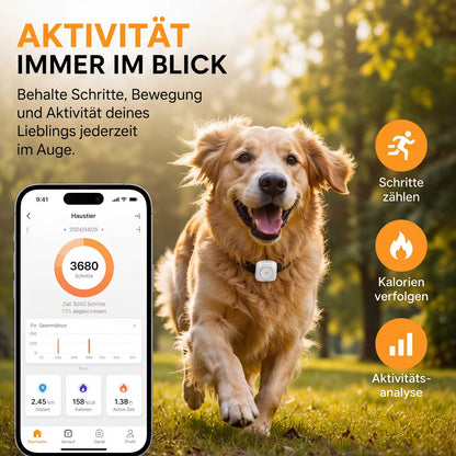 PawTrace Go – GPS-Tracker-Halsband für Hunde & Katzen – Produktansicht 2