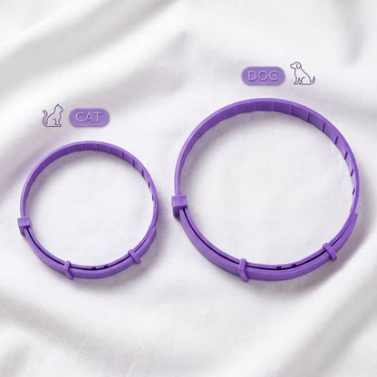 PawCalm – Pheromon-Beruhigungshalsband für Hunde & Katzen – Produktansicht 3