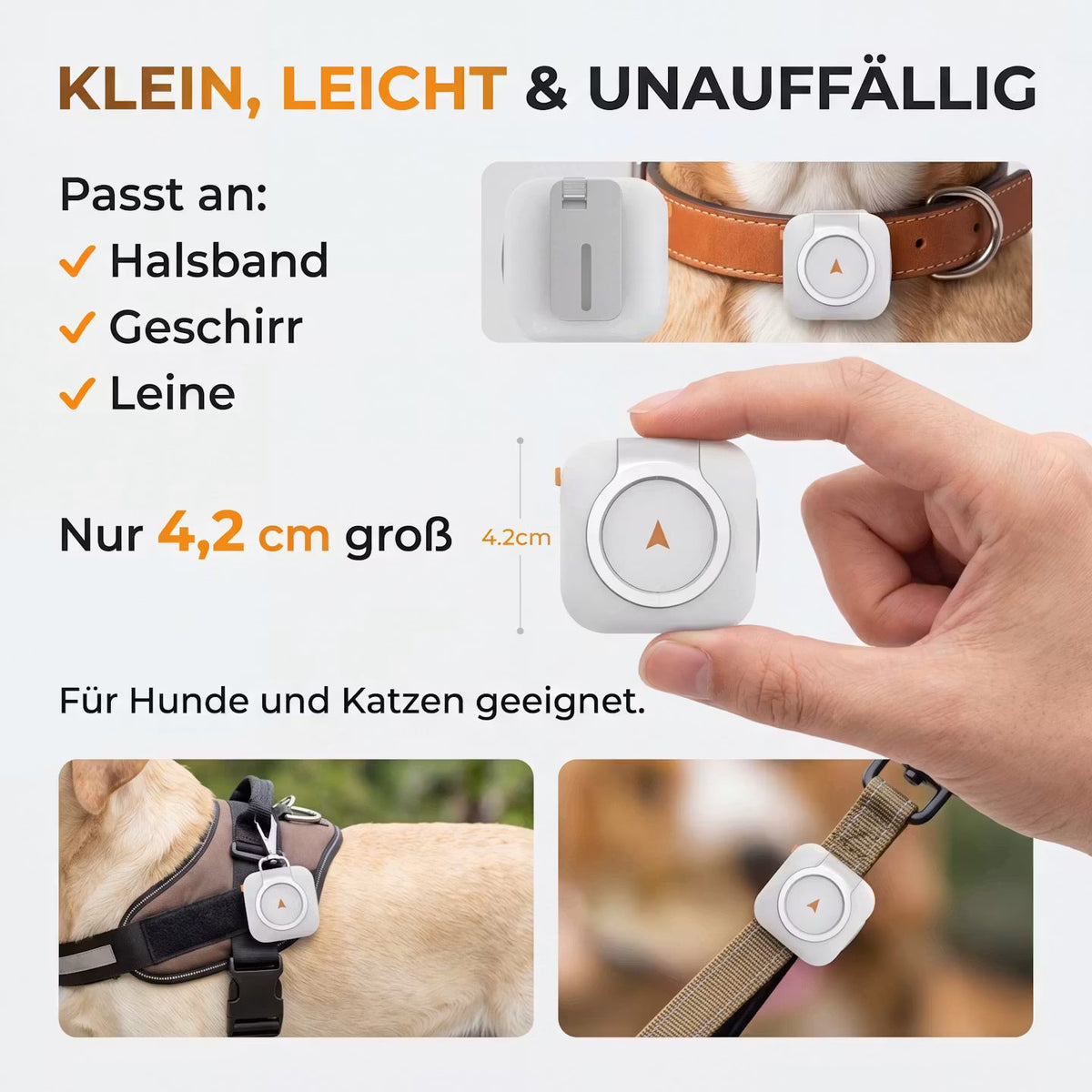 PawTrace Go – GPS-Tracker-Halsband für Hunde & Katzen – Produktansicht 5