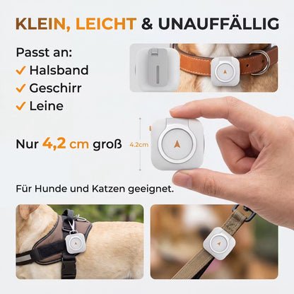 PawTrace Go – GPS-Tracker-Halsband für Hunde & Katzen – Produktansicht 5